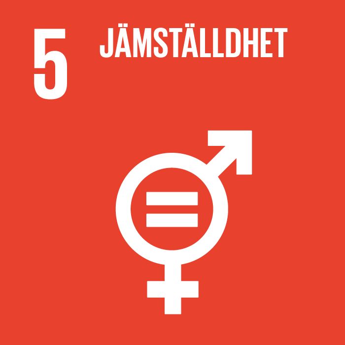 Jämställdhet. FN:s Hållbarhetsmål. Vårt hållbarhetsarbete.